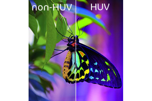 Перфектен цвят и дефиниция на картина на пеперуда чрез HUV печат
